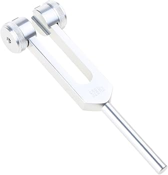 Amazon.co.jp: 音叉 528Hz チューナーチャクラ DNA 修復サウンド